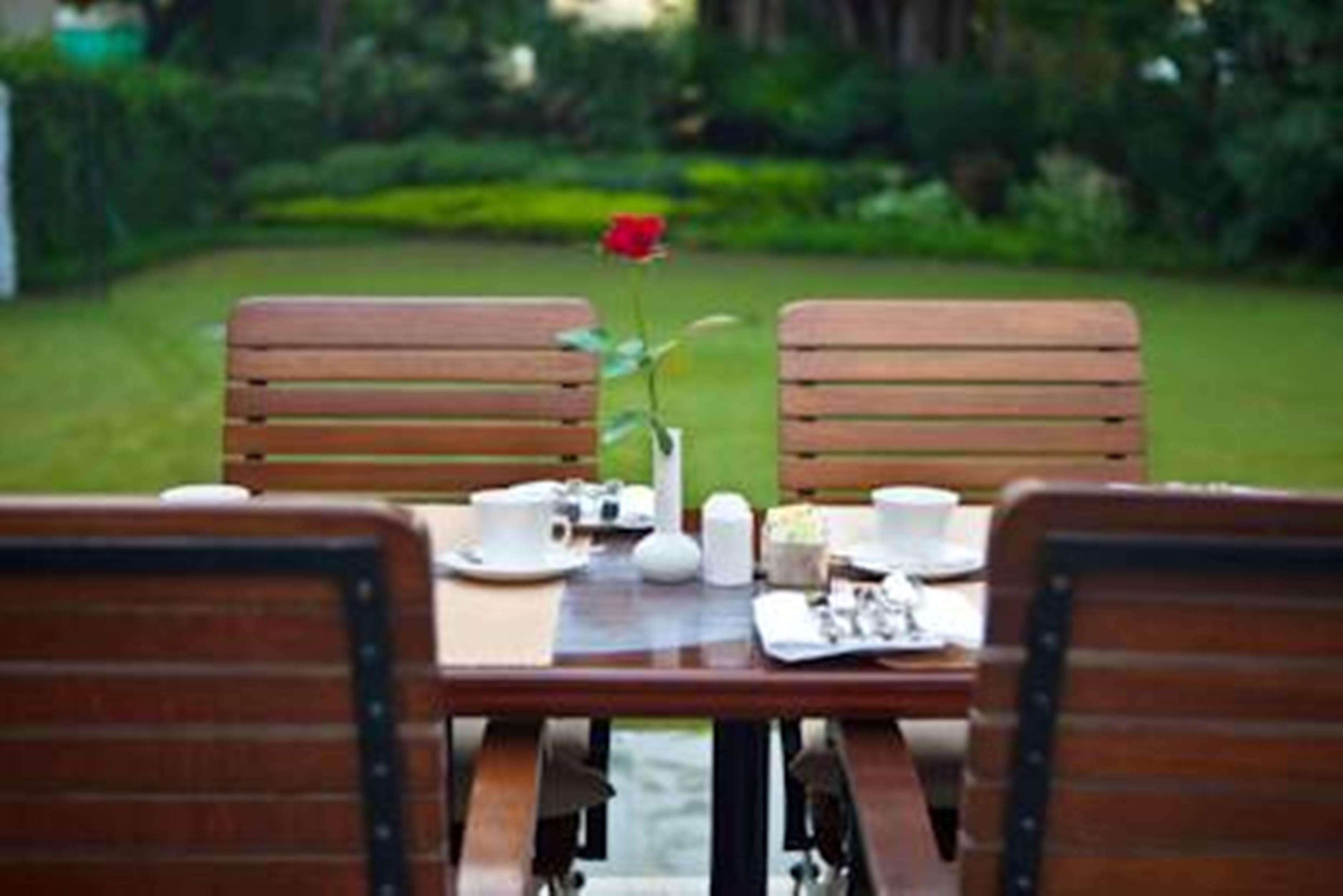Maidens Hotel New Delhi Eksteriør bilde The lawn at the hotel